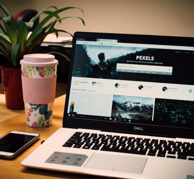 web developemtn